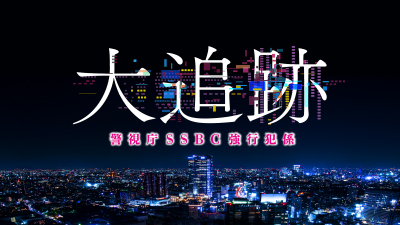 大追跡〜警視庁SSBC強行犯係〜 作品画像